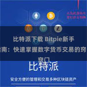 比特派下载 Bitpie新手指南：快速掌握数字货币交易的窍门